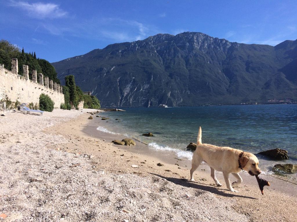 B&B Casa Limone Limone sul Garda Eksteriør bilde